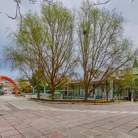 The Blooming Sunflower / разцъфнал слънчоглед Apartament